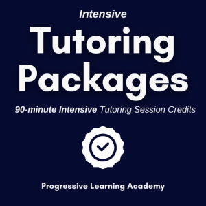 2 x Intensive Online-Tutoring Sessions
